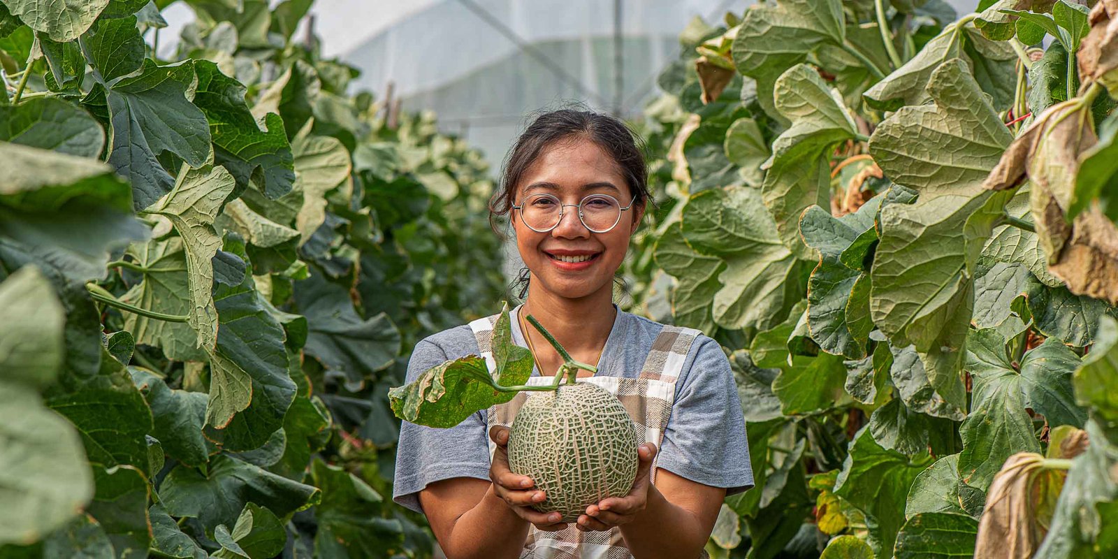 Servicios de Agricultura en La Cañada